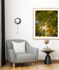 Autumn Nature Palette Frame