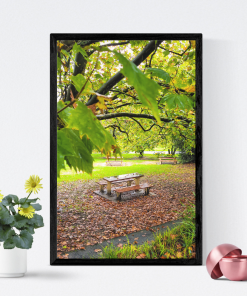 Katoomba’s Autumn Charm Frame