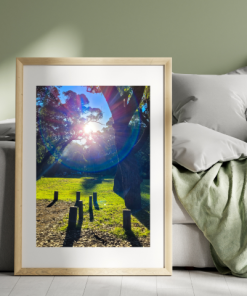 Tranquil Berry Countryside Frame